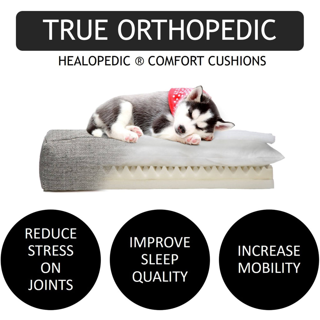 Orthopedic Dog Bed, Medium, Pink D9923