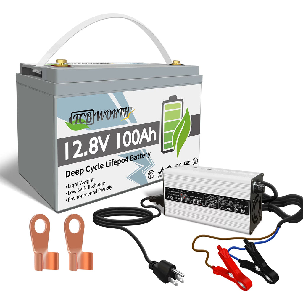 12V 100Ah LiFePO4 Lithium Battery with 100A BMS F449894