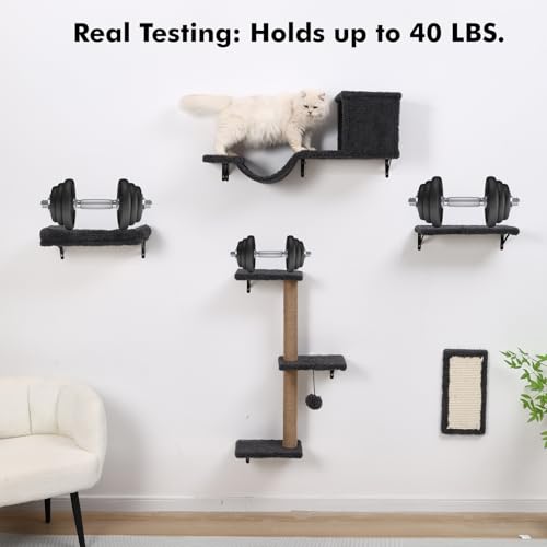 Gray Cat Wall Shelves Q290999