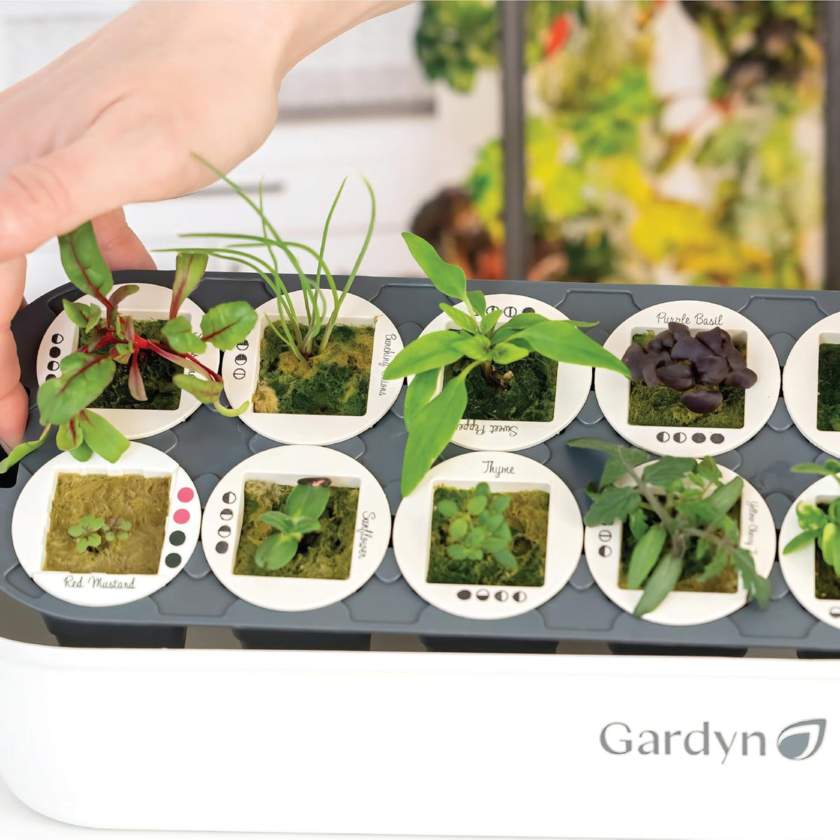 Indoor Garden Seed Starter Tray for Hydroponic Growing Systems O27503