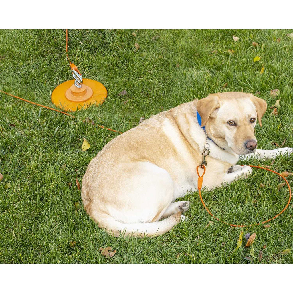 Tie-Out Cables for Dogs up to 100 Feet V80051