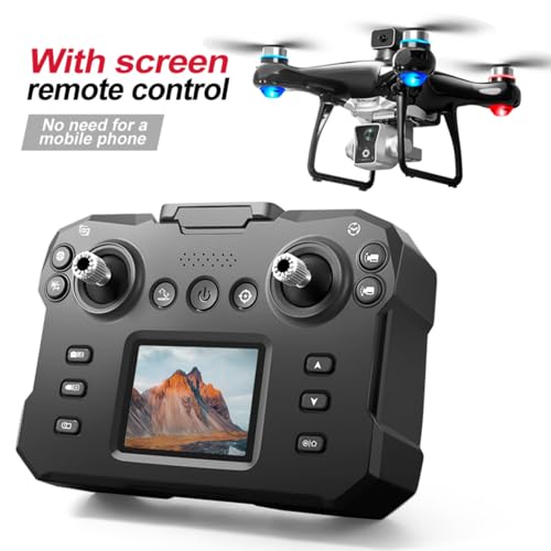 1080P Dual Camera Brushless Motor RC Drone H28033