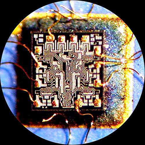 1.3MP USB Digital Microscope Camera V4367