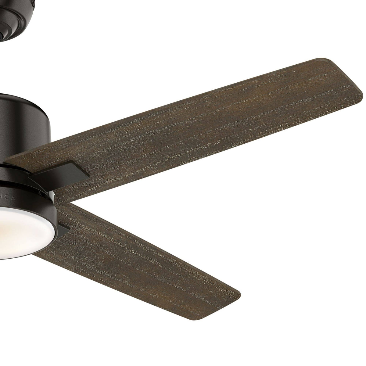 Ceiling Fan P101467