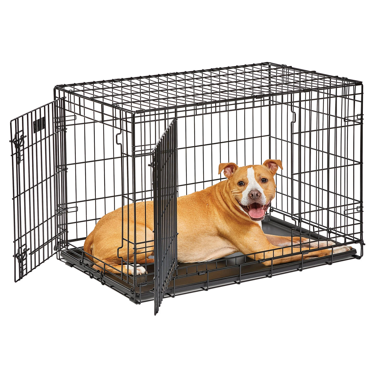 Medium Double Door Folding Metal Dog Crate with Divider Panel Z159528