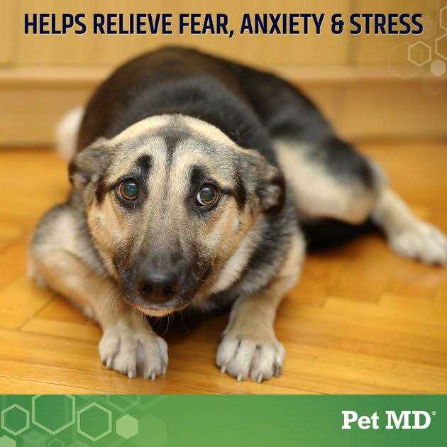 Hemp Calming Supplement Soft Chew for Dogs Q699899
