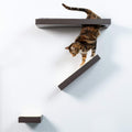 Espresso Cat Activity Wall Shelves with Sisal Surfaces F634434