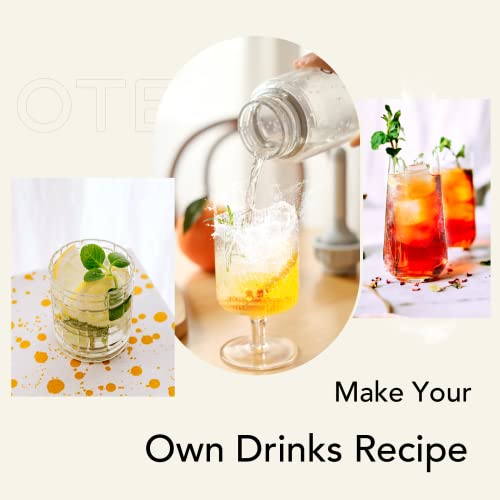 Red Portable Sparkling Water Maker with 20PCS Cylinders 450ml PET Bottle A149
