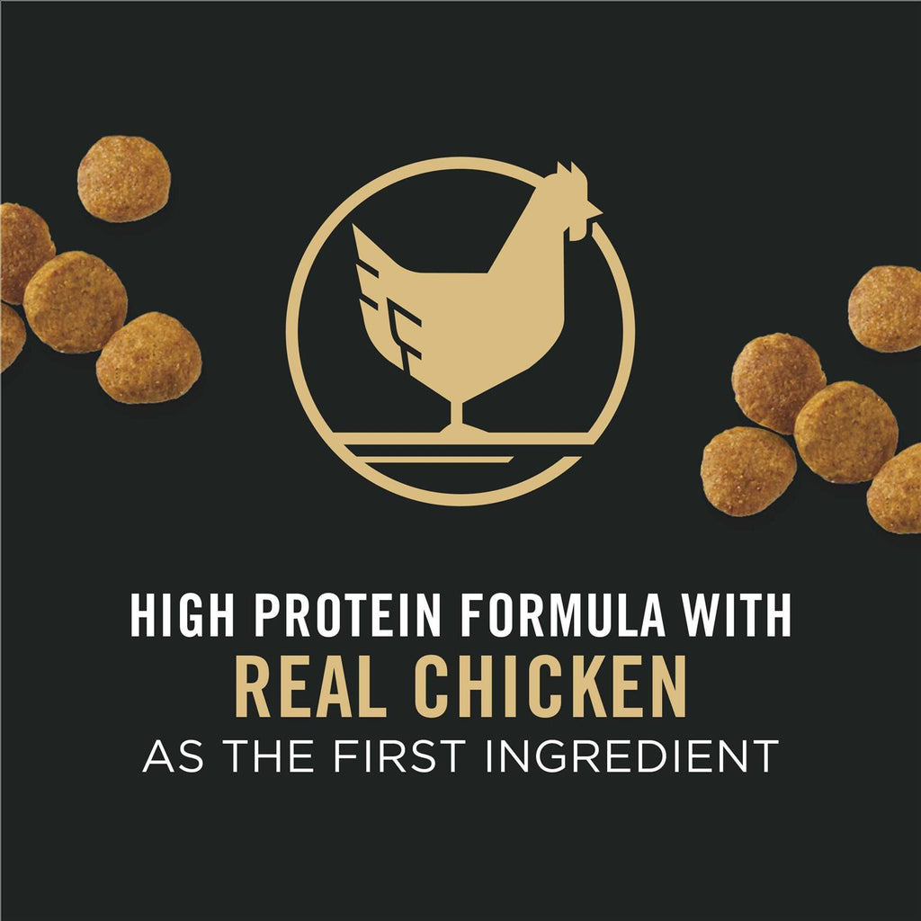 Chicken & Rice Formula Dry Puppy Food P731