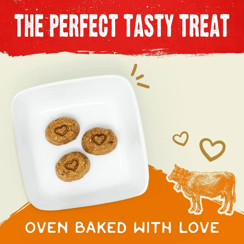Freeze-Dried Raw Coated Grain Free Dog Biscuits 9 oz Bag C37462