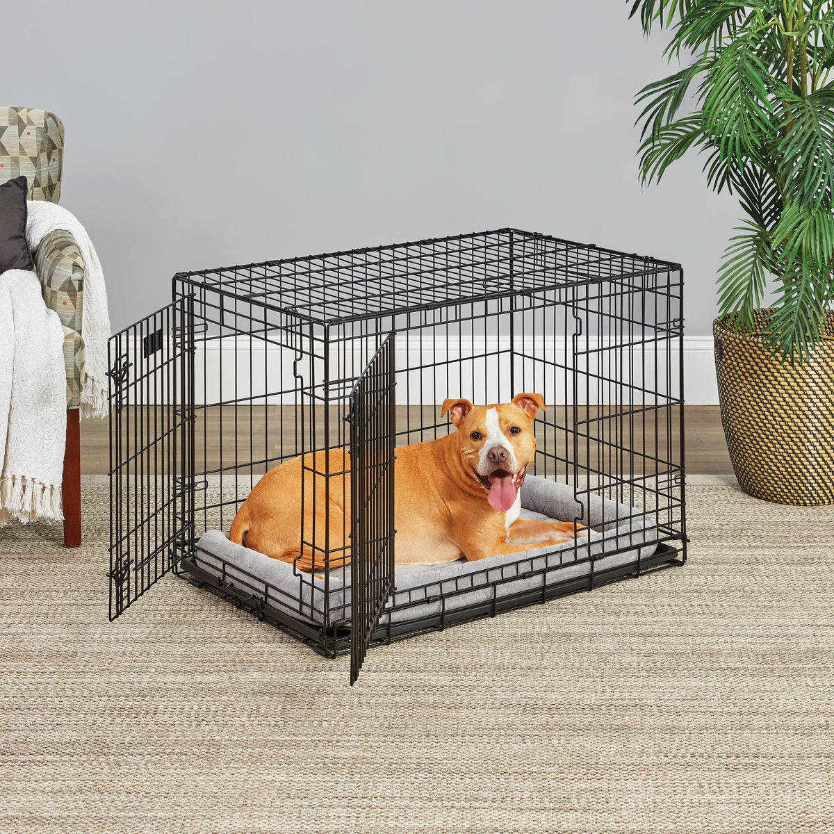 Medium Double Door Folding Metal Dog Crate with Divider Panel Z159528