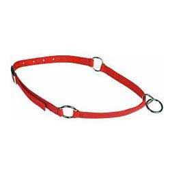 Pet Neck Collar F9261