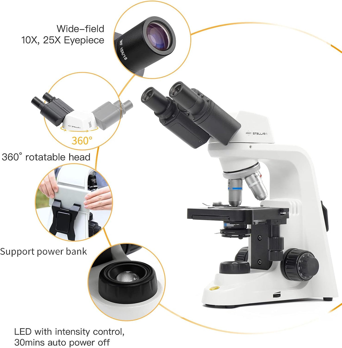 Professional Lab Compound Microscope, 40X-2500X Magnification, Binocular Head S728424