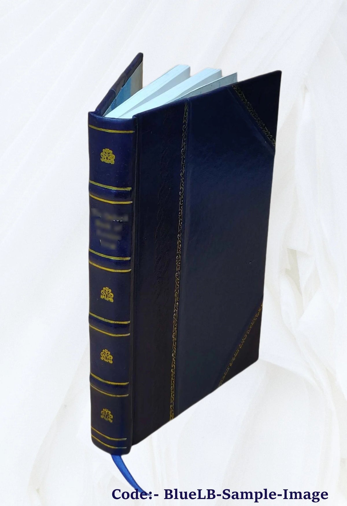 Leather Bound Roman A289