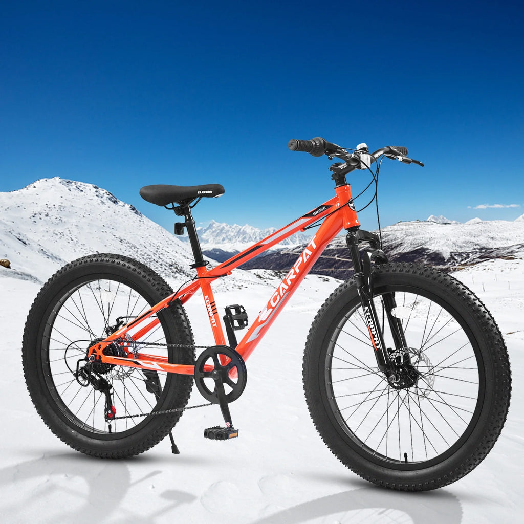 24 Inch Fat Tire Bike 7 Speeds Dual Disc Brake High-Carbon Steel Frame W86094