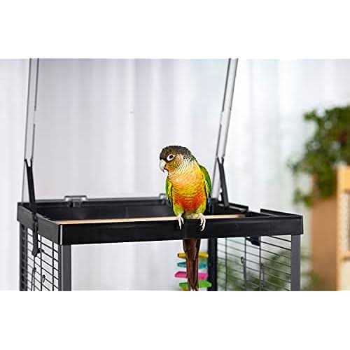 Bird Cage G924