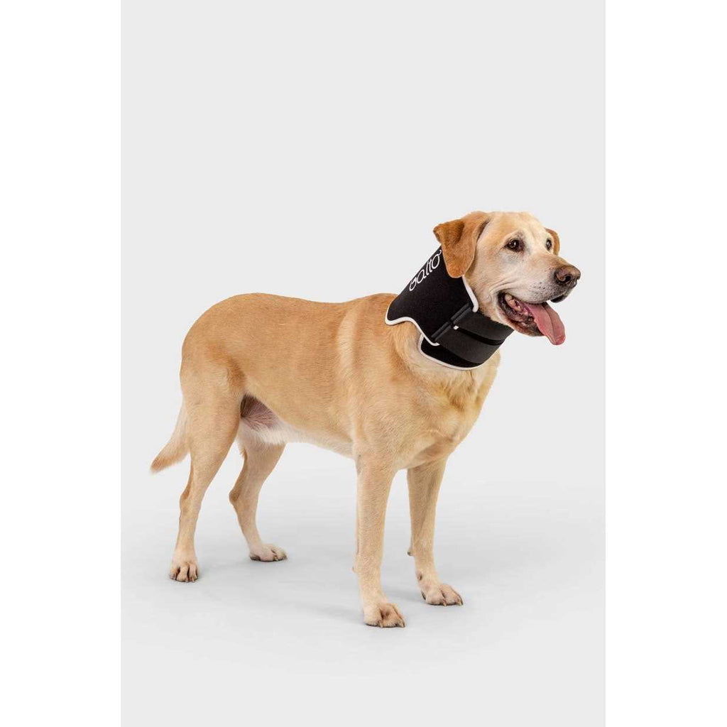 Dog Cone Alternative E-Collar O15780