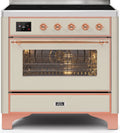 Antique White Induction Range with Electric Oven N83364