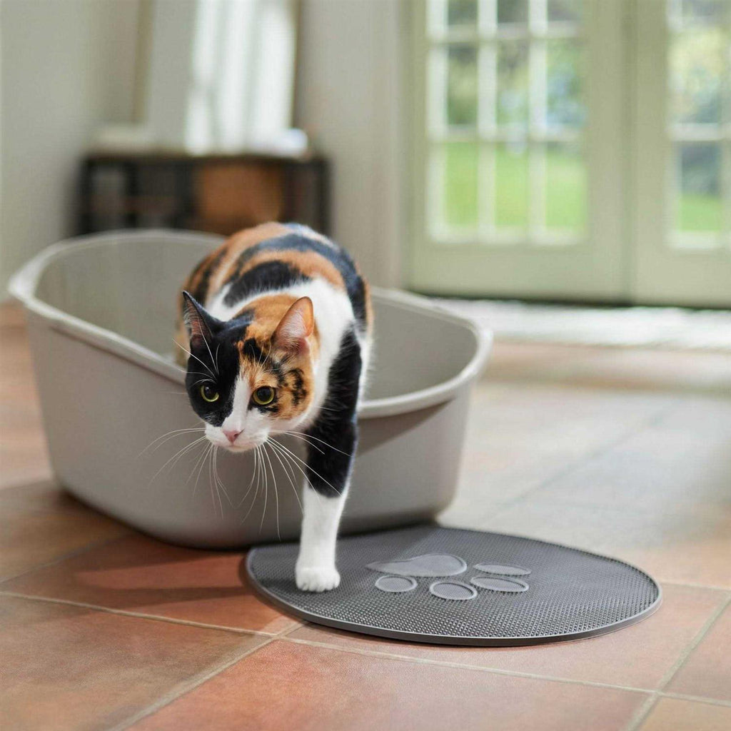 High Back Cat Litter Box X70315