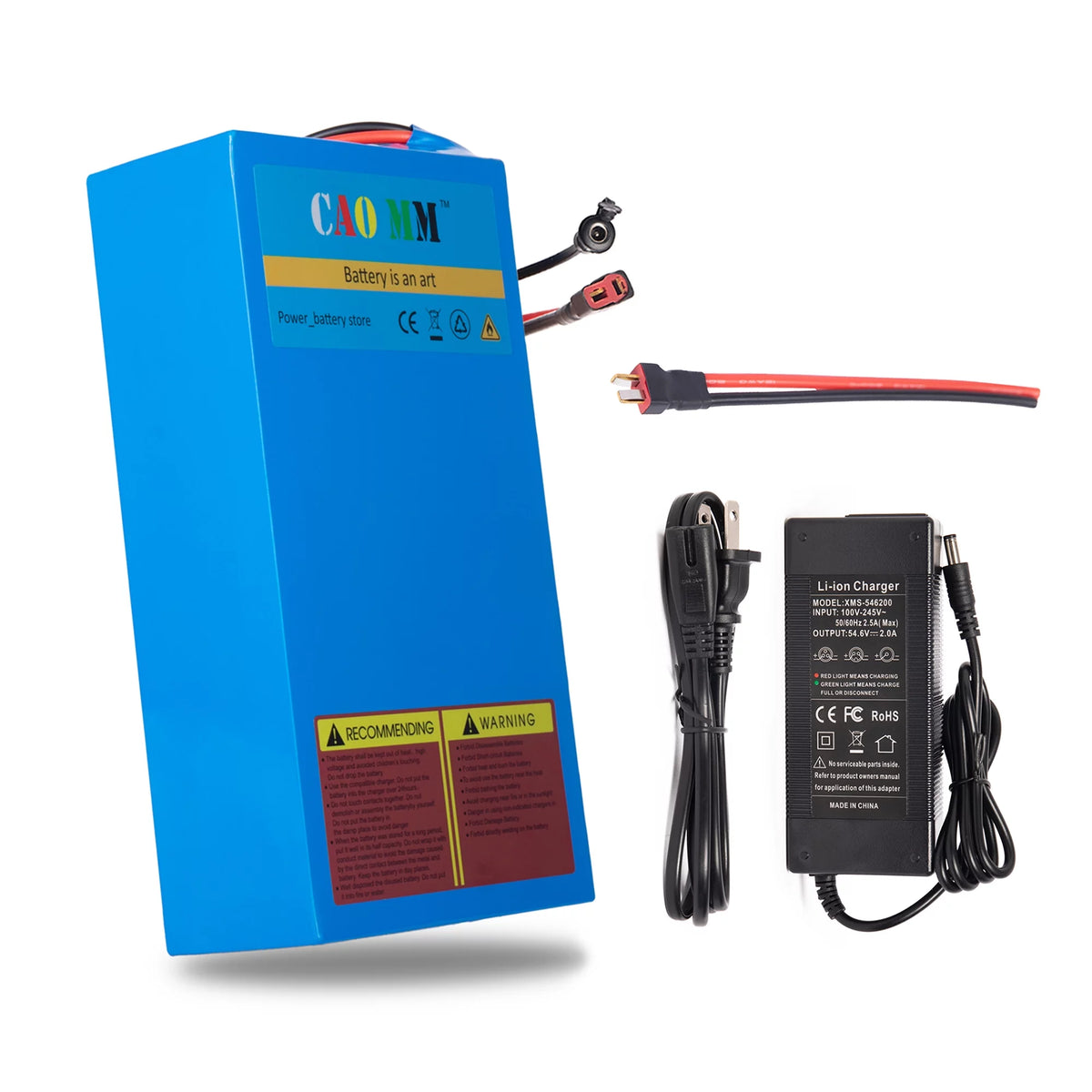 48V 8Ah Lithium Ebike Battery with Charger R959022