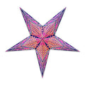 Paper Star Lantern T34241