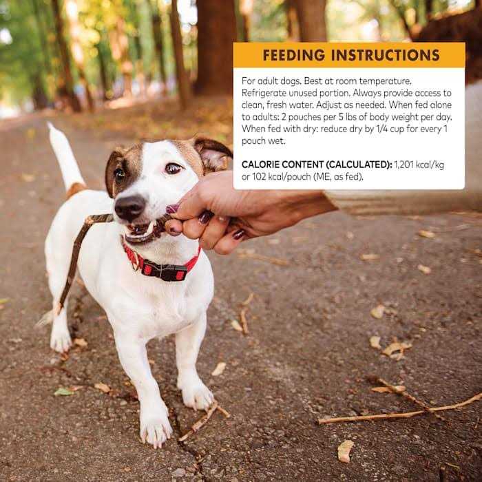Grain Free Small Breed Wet Dog Food A211782