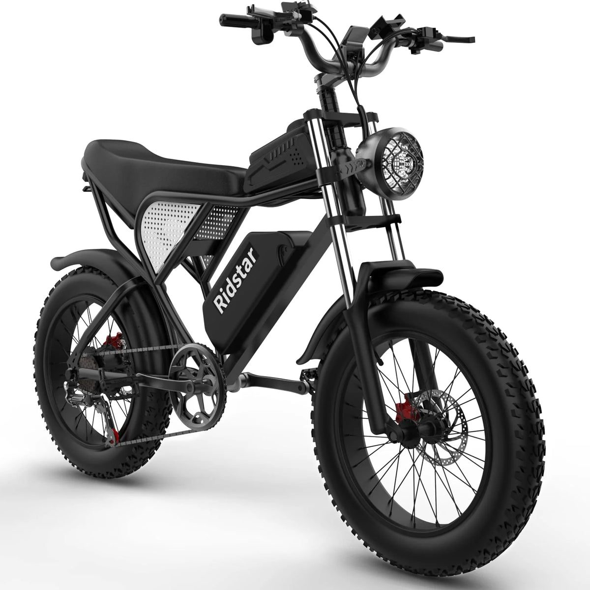 20 Fat Tire 1000W Electric Bike with 48V/20Ah Battery V535