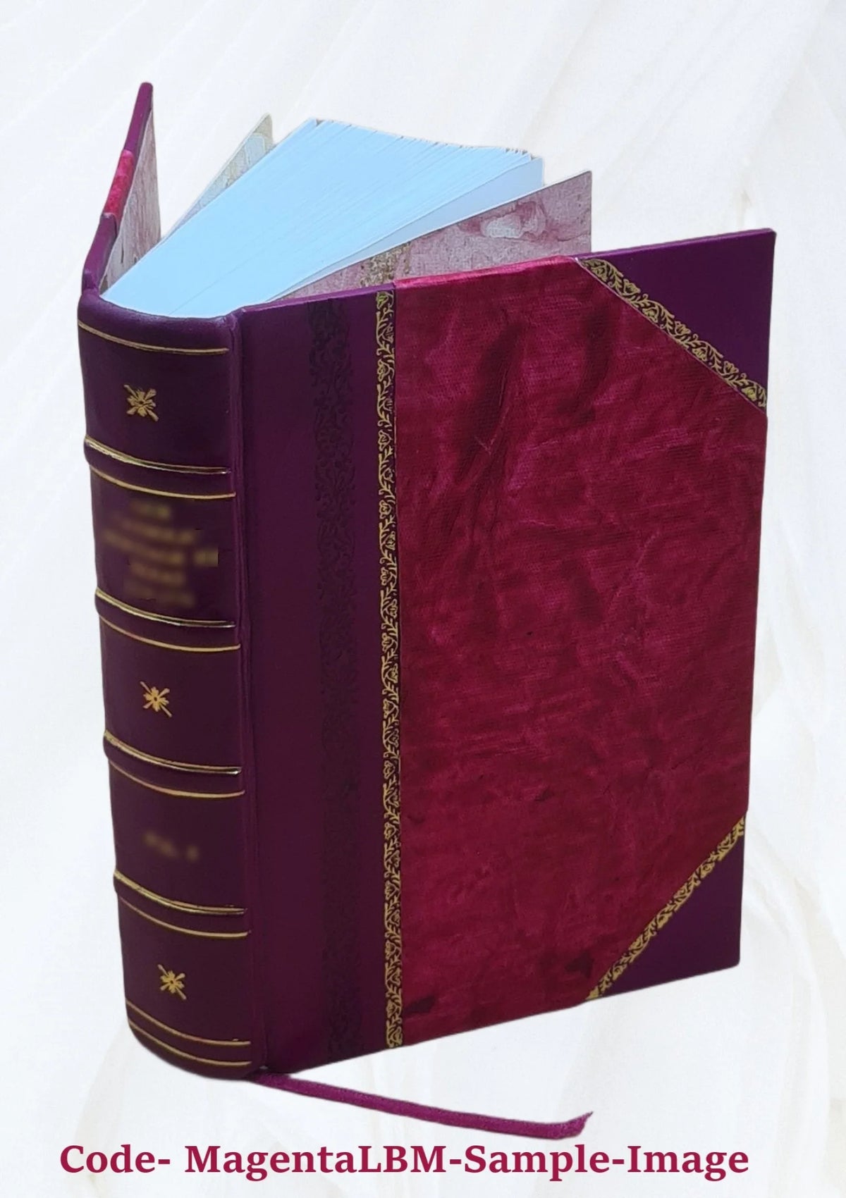 1909 Leather Bound Radioactivity and Electronics Yearbook W356686