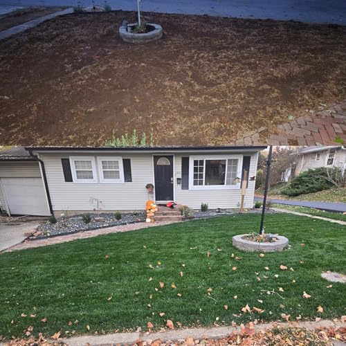 Turf Type Tall Fescue Grass Seed (10 lbs) U388