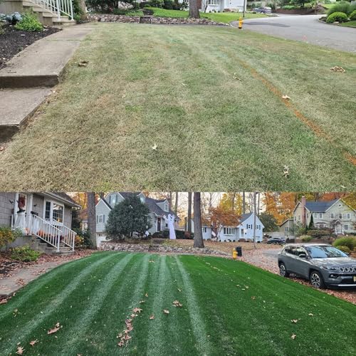 Turf Type Tall Fescue Grass Seed (10 lbs) U388