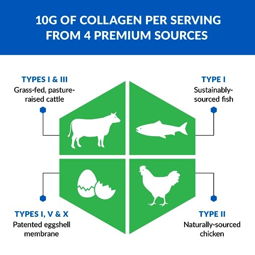 Vanilla Collagen Peptides Powder – 5 Types (I, II, III, V, X) – Hydrolyzed Protein H500452