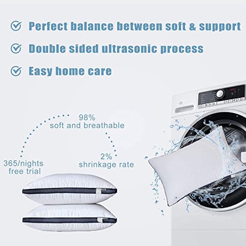 King Size Bed Pillows Set of 2 F886