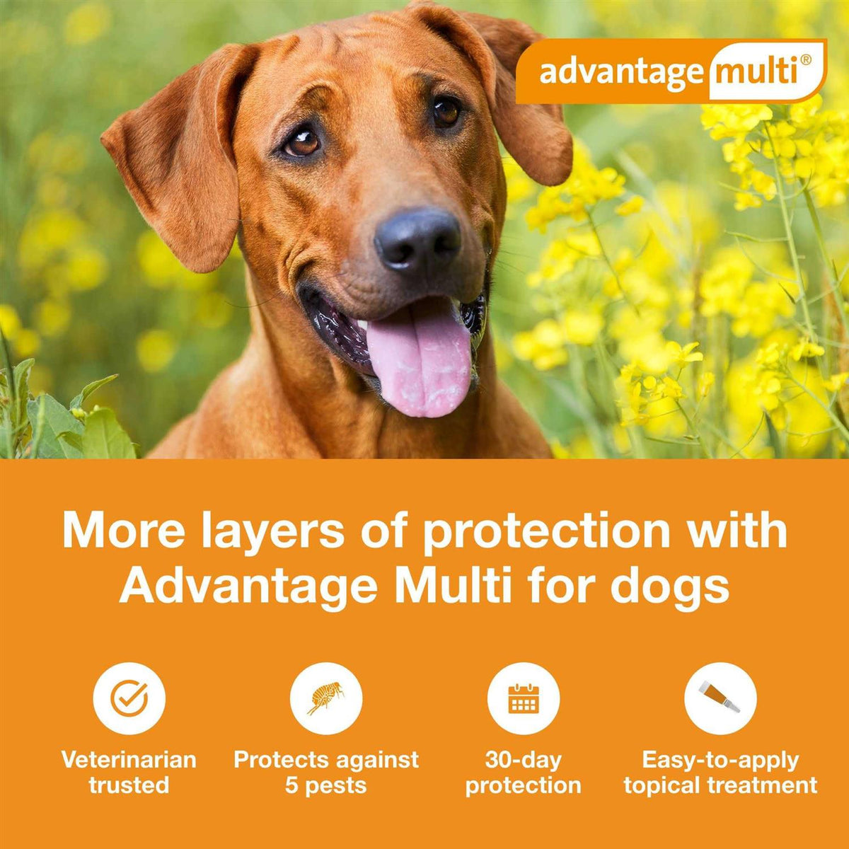 Advantage Multi for Dogs S859