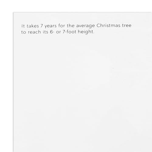 20 Christmas Cards and 20 Envelopes C998
