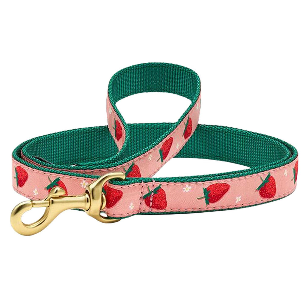 Strawberry Fields Dog Collar A46467