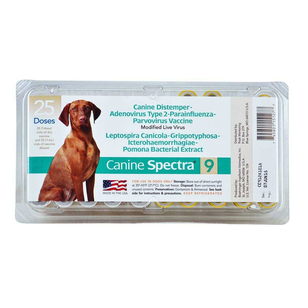 Dog Vaccine Z58364
