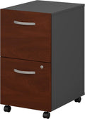 2 Drawer Mobile File Cabinet N545