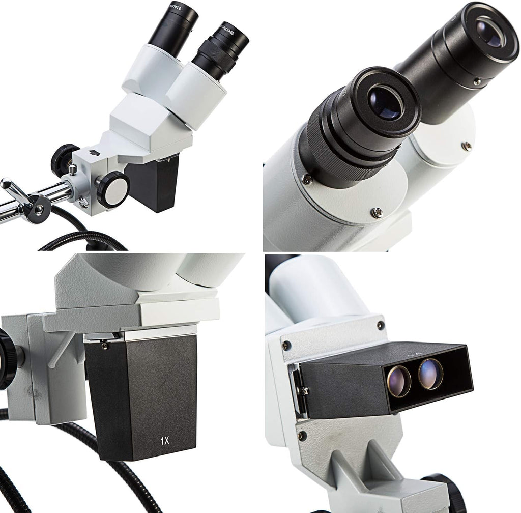 Dissecting Binocular Stereo Microscope, WF10x WF20x Eyepieces, LED Lighting K740303
