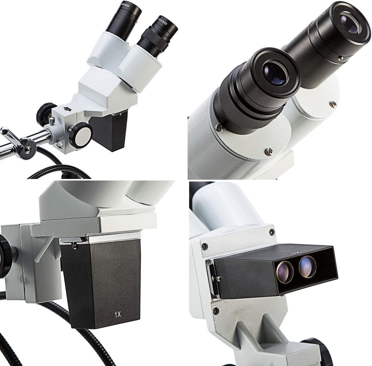 Dissecting Binocular Stereo Microscope, WF10x WF20x Eyepieces, LED Lighting K740303