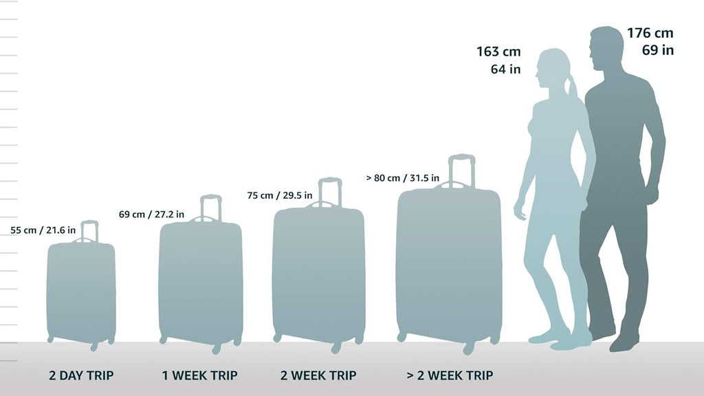 Metallic Hardside Expandable Spinner Wheel Luggage, Carry-On 20" Z433