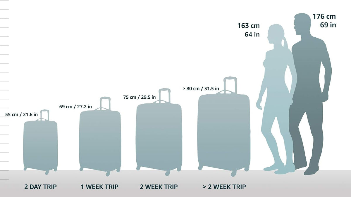 Metallic Hardside Expandable Spinner Wheel Luggage, Carry-On 20" Z433