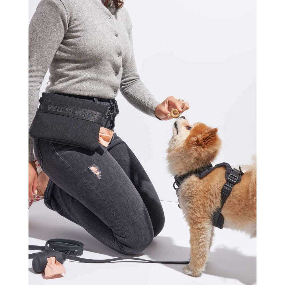 Cotton Dog Treat Pouch U363125