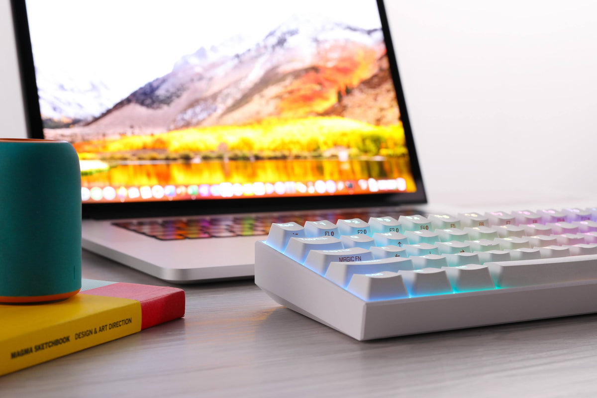 60% Wired/Wireless Mechanical Keyboard R5501