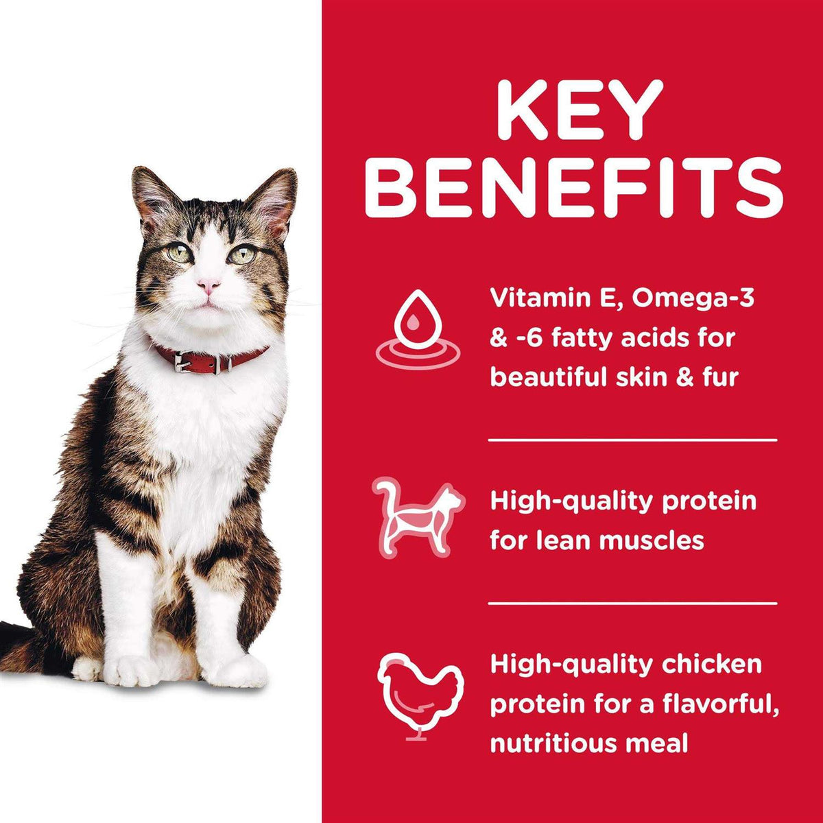 Adult Hairball Control Dry Cat Food P8880