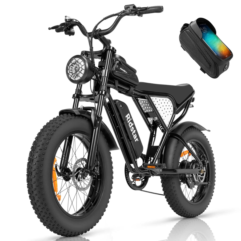 20 Fat Tire 1000W Electric Bike with 48V/20Ah Battery V535