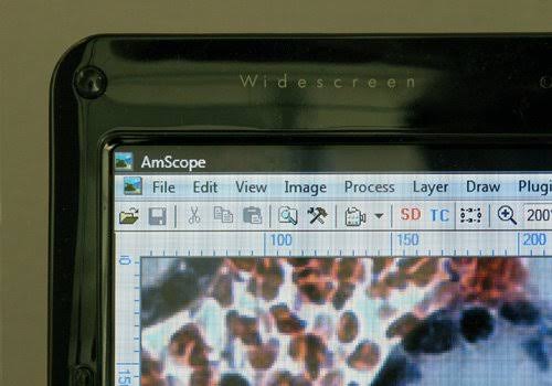 1.3MP USB Digital Microscope Camera V4367