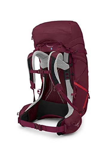 Antidote Purple 65L Women's Backpacking Backpack R941606
