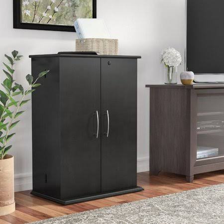 2 Door Storage Cabinet Black P780439