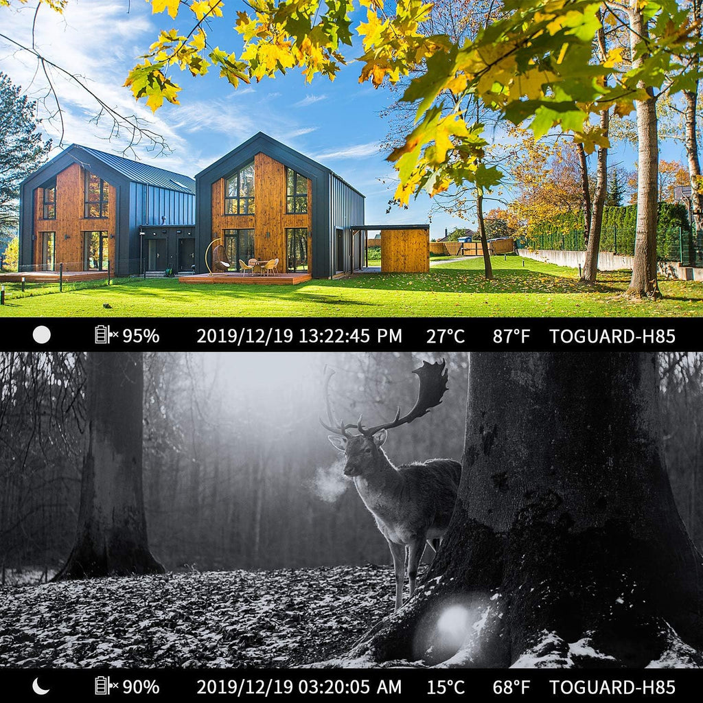 20MP 1296P Night Vision Motion Activated Waterproof IP66 Trail Camera Y94688