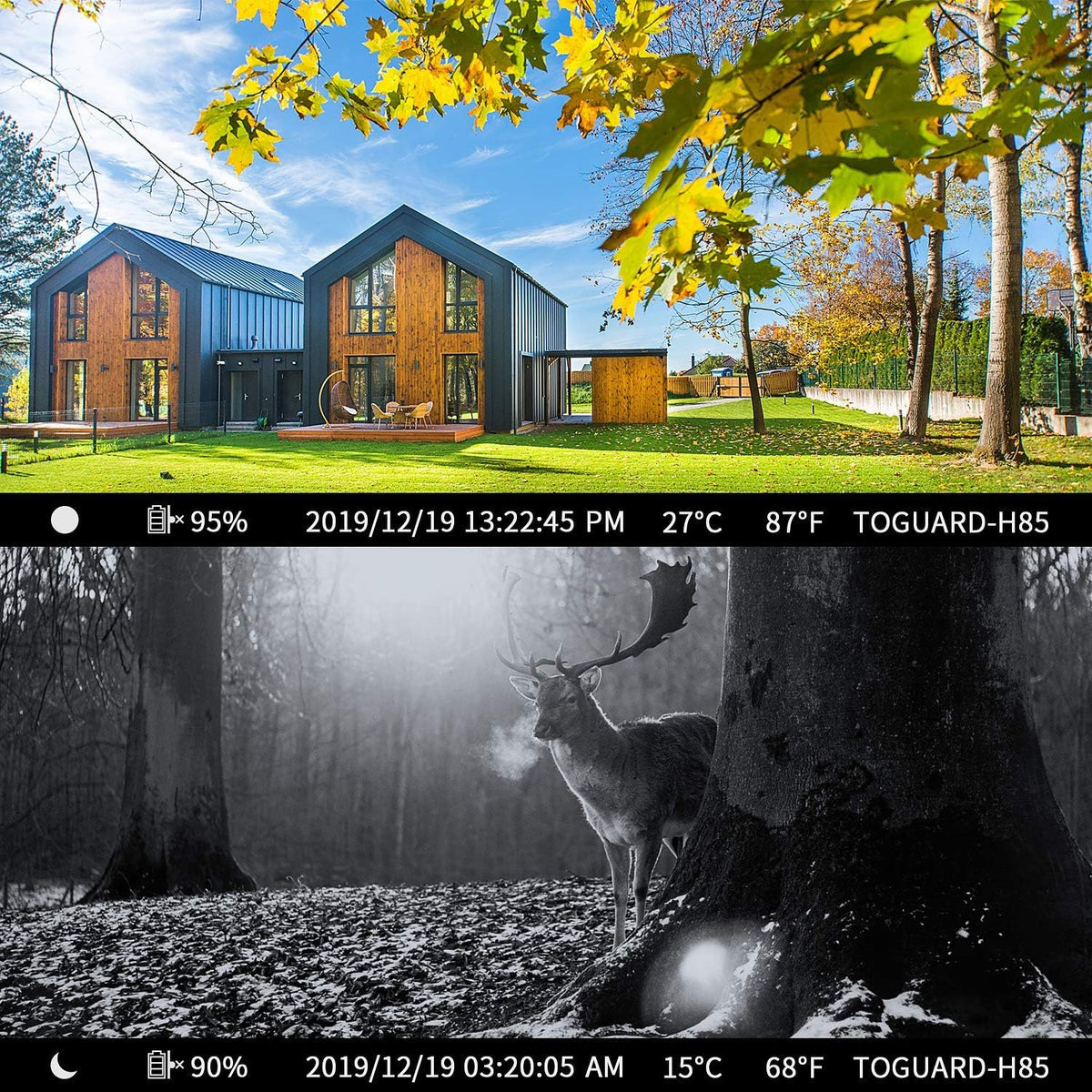20MP 1296P Night Vision Motion Activated Waterproof IP66 Trail Camera Y94688